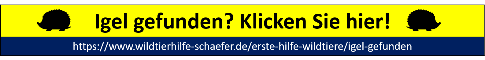 Igel