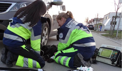 Medizinische Notfallrettung