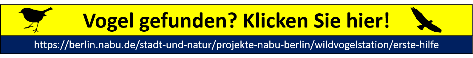 Vogel