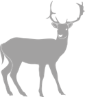 Wildtier